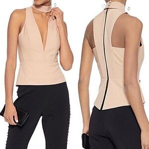 Michelle Mason Nude Blush Choker Plunge Neckline Top size 6